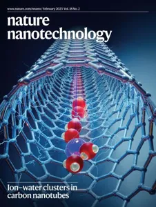 Nature Nanotechnology 期刊封面