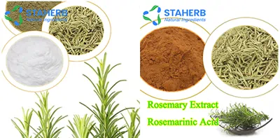 Rosmarinic acid
