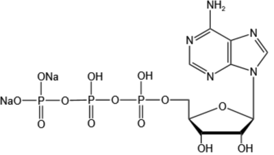 Adenosine 5'-triphosphate disodium salt