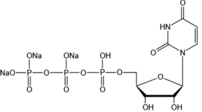 Uridine 5'-triphosphate disodium salt