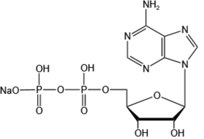 Adenosine-5'-Diphosphate Disodium Salt