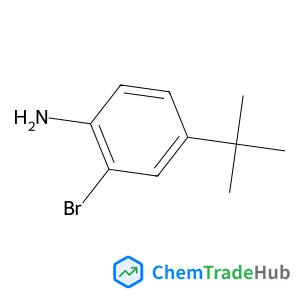 2-Bromo-4-(2-methyl-2-propanyl)aniline