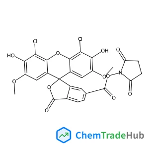 1-{[(4',5'-Dichloro-3',6'-dihydroxy-2',7'-dimethoxy-3-oxo-3H-spiro[2-benzofuran-1,9'-xanthen]-6-yl)carbonyl]oxy}-2,5-pyrrolidinedione