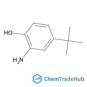 2-Amino-4-(2-methyl-2-propanyl)phenol