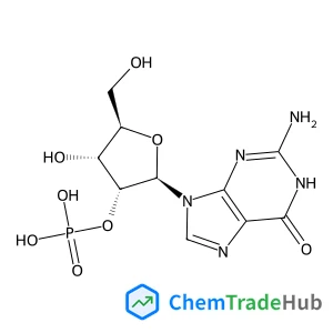 2'-Guanylic acid