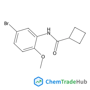 N-(5-Bromo-2-methoxyphenyl)cyclobutanecarboxamide
