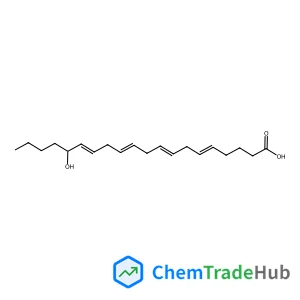 16-HYDROXY-5(Z),8(Z),11(Z),14(Z)-EICOSATETRAENOIC ACID