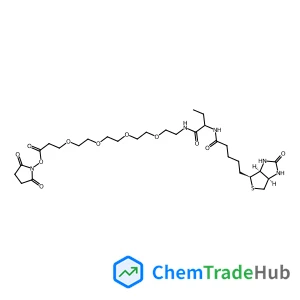 N-{20-[(2,5-Dioxo-1-pyrrolidinyl)oxy]-4,20-dioxo-8,11,14,17-tetraoxa-5-azaicosan-3-yl}-5-[(3aS,4S,6aR)-2-oxohexahydro-1H-thieno[3,4-d]imidazol-4-yl]pentanamide