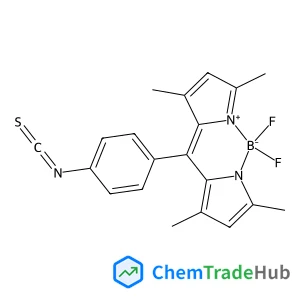 Bodipy Isothiocyanate