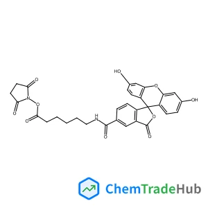 6-[Fluorescein-5(6)-carboxamido]hexanoic acid N-hydroxysuccinimide ester