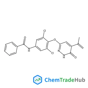 Benzamide Related Compound 2
