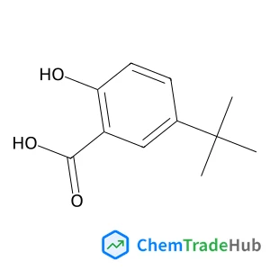 5-(1,1-DIMETHYLETHYL)-2-HYDROXY-BENZOIC ACID