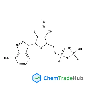 Adenosine-5'-Diphosphate Disodium Salt