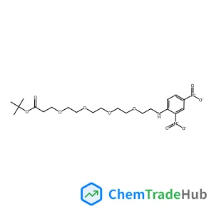 DNP-PEG4-T-BUTYL ESTER