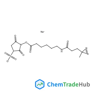 Sodium 1-(6-(3-(3-methyl-3H-diazirin-3-yl)propanamido)hexanoyloxy)-2,5-dioxopyrrolidine-3-sulfonate