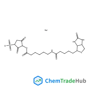 Sodium 2,5-dioxo-1-{[6-({5-[(3aS,4S,6aR)-2-oxohexahydro-1H-thieno[3,4-d]imidazol-4-yl]pentanoyl}amino)hexanoyl]oxy}-3-pyrrolidinesulfonate