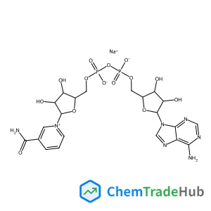 Beta-Nicotinamide Adenine Dinucleotide Sodium Salt