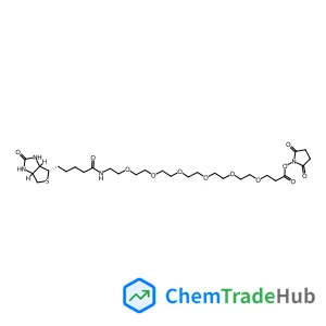 (+)-BIOTIN-PEG6-NHS ESTER