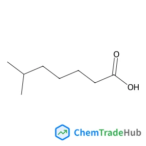 6-Methylheptanoic acid