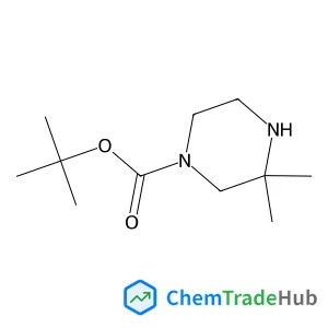 2-Methyl-2-propanyl 3,3-dimethyl-1-piperazinecarboxylate|pharmaceutical intermediates