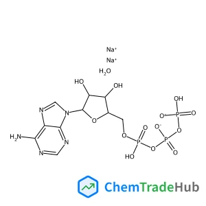 Adenosine 5'-Triphosphate as disodium salt