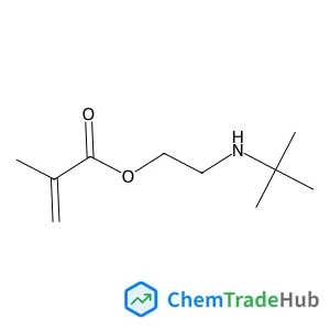 2-[(2-Methyl-2-propanyl)amino]ethyl methacrylate