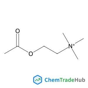 2-Acetoxy-N,N,N-trimethylethanaminium