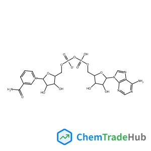 Nicotinamide Adenine Dinucleotide