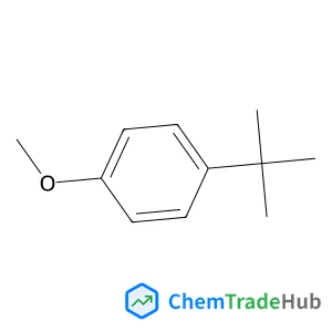 1-Methoxy-4-(2-methyl-2-propanyl)benzene