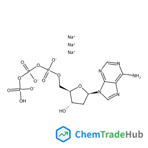 2’-Deoxyadenosine-5’-triphosphate Trisodium Salt