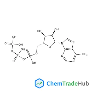 Adenosine 5'-triphosphate