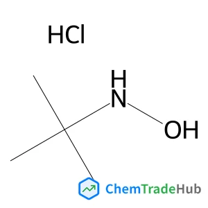N-Hydroxy-2-methyl-2-propanamine hydrochloride (1:1)