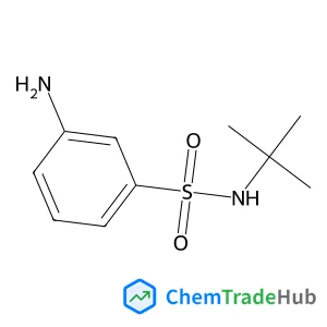 3-Amino-N-(2-methyl-2-propanyl)benzenesulfonamide