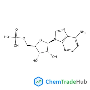 Adenosine 5'-Monophosphate