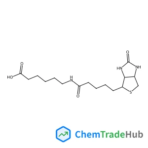 6-({5-[(3aS,4S,6aR)-2-Oxohexahydro-1H-thieno[3,4-d]imidazol-4-yl]pentanoyl}amino)hexanoic acid