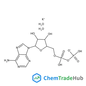 Adenosine 5’-Diphosphate Potassium Salt Dihydrate