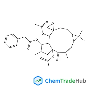 CID 101306826 structure