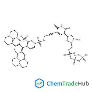2'-Deoxy-5-[3-({[4-(2,3,6,7,12,13,16,17-octahydro-1H,5H,11H,15H-pyrido[3,2,1-ij]quinolizino[1',9':6,7,8]chromeno[2,3-f]quinolin-4-ium-9-yl)-3-sulfonatophenyl]sulfonyl}amino)-1-propyn-1-yl]uridine 5'-(
tetrahydrogen triphosphate)