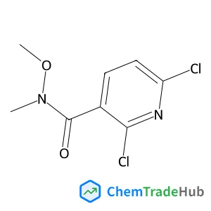 2,6-Dichloro-N-methoxy-N-methylnicotinamide 2,6-Dichloro-N-methoxy-N-methylnicotinamide