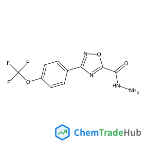 3-(4-(Trifluoromethoxy)phenyl)-1,2,4-oxadiazole-5-carbohydrazide 3-(4-(Trifluoromethoxy)phenyl)-1,2,4-oxadiazole-5-carbohydrazide
