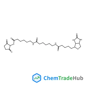 HOOK™-NHS-LC-LC-BIOTIN