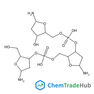Deoxyribonucleic acid