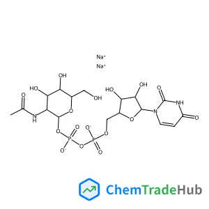 Uridine 5'-diphospho-N-acetylglucosamine disodium salt