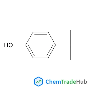 4-(2-Methyl-2-propanyl)phenol
