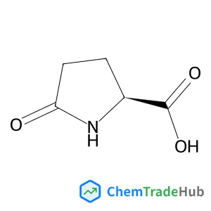 5-Oxo-L-proline 5-Oxo-L-proline