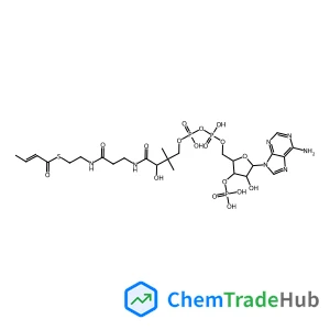 S-[2-[3-[[5-(6-aminopurin-7-yl)-4-hydroxy-3-phosphonooxy-tetrahydrofuran-2-yl]methoxy-hydroxy-phosphoryl]oxypropanoylamino]ethyl] but-2-enethioate